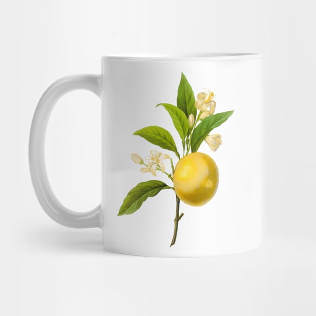 Botanical Print, Lemon by Redoute by PixDezines